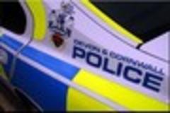 Police investigate child abduction attempt in Paignton
